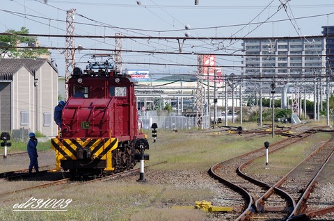 IMGP6036