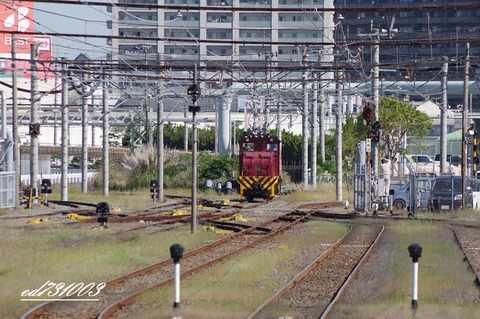 IMGP6005
