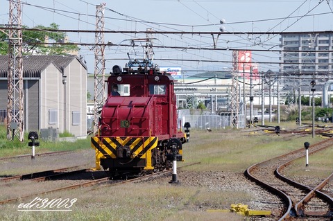 IMGP6026
