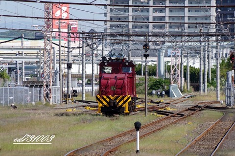 IMGP6008