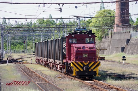 IMGP5954