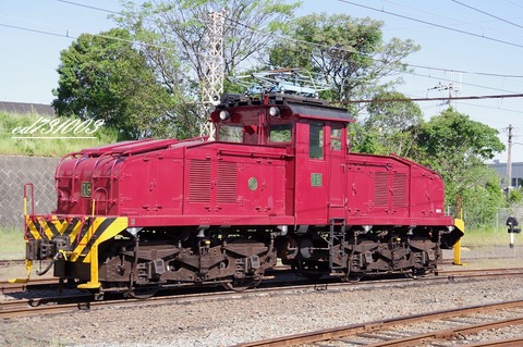 IMGP6066