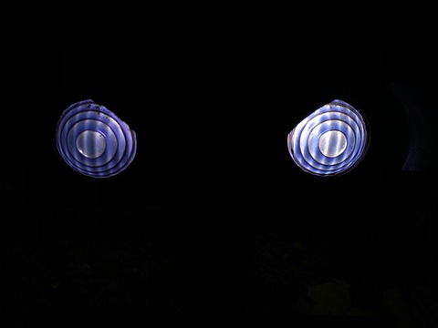 4124775F-21A5-492A-B493-90F8D62DF348