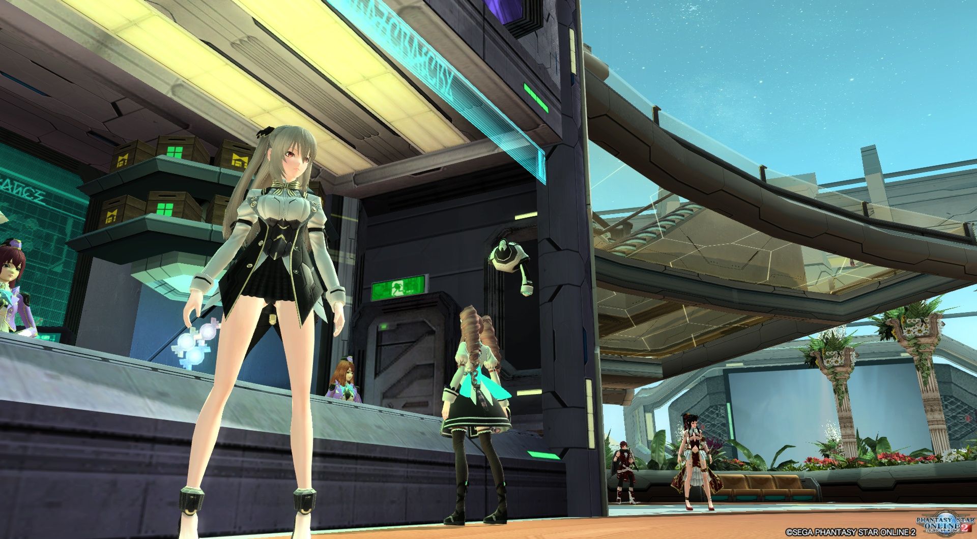 新人上任 Pso2 野良猫の集会所 新人上任 Pso2 野良猫の集会所
