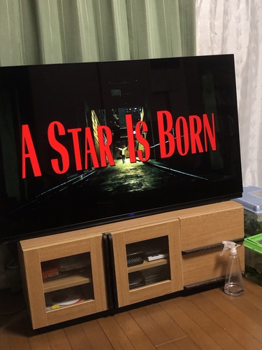 fLHRuiMjSWWfIvgViySGQA