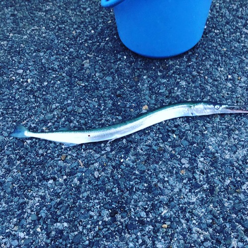 4F0ED2CE-B396-48DA-B00E-B4B3474244D3