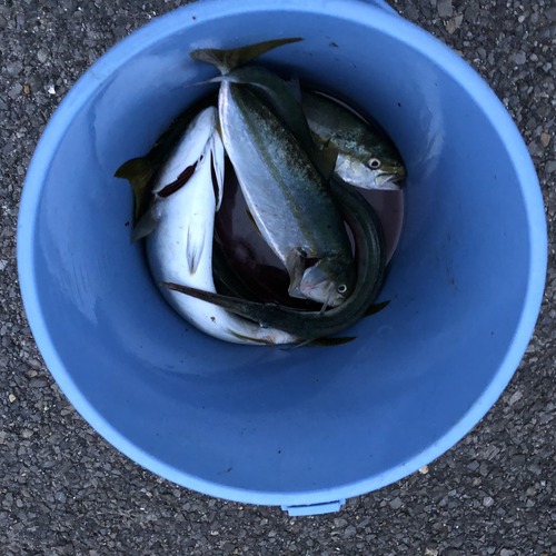 v33rvi1oRKatF6q0L1+5jQ