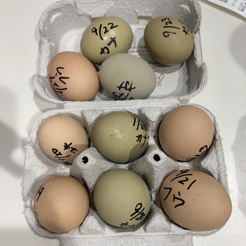 sSvsL6ttQVeMDd14pbT8jQ