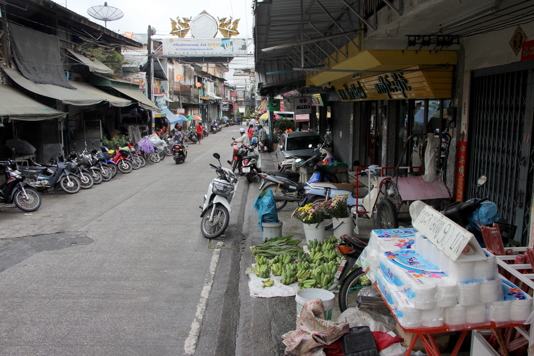 0387 タイとミャンマーの国境線は小さな泥の川だった 地球の覗き方