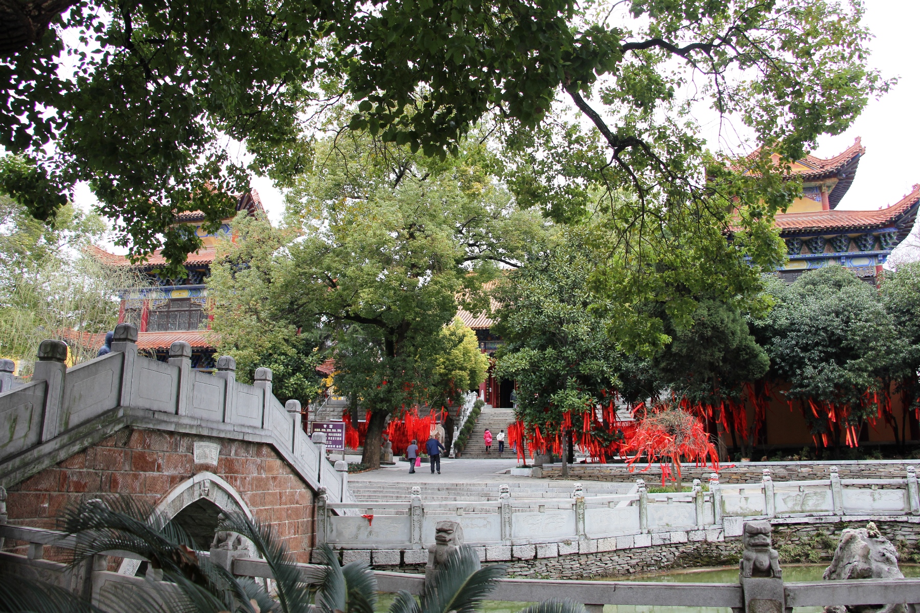 #0143.武漢「宝通寺」 - 体をよじらせつつ古塔をのぼる : 地球の覗き方