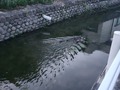20260607_193607
