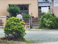 20260614_070525