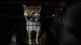191205_064610