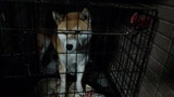 201126_063235