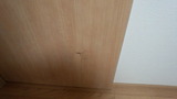 191205_083744
