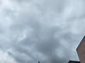 20260608_064937