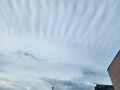 20260613_065008