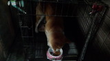 201124_064644