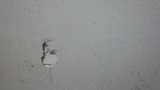 220116_170119
