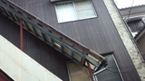 220111_103826