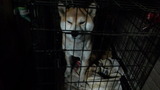 201127_062930