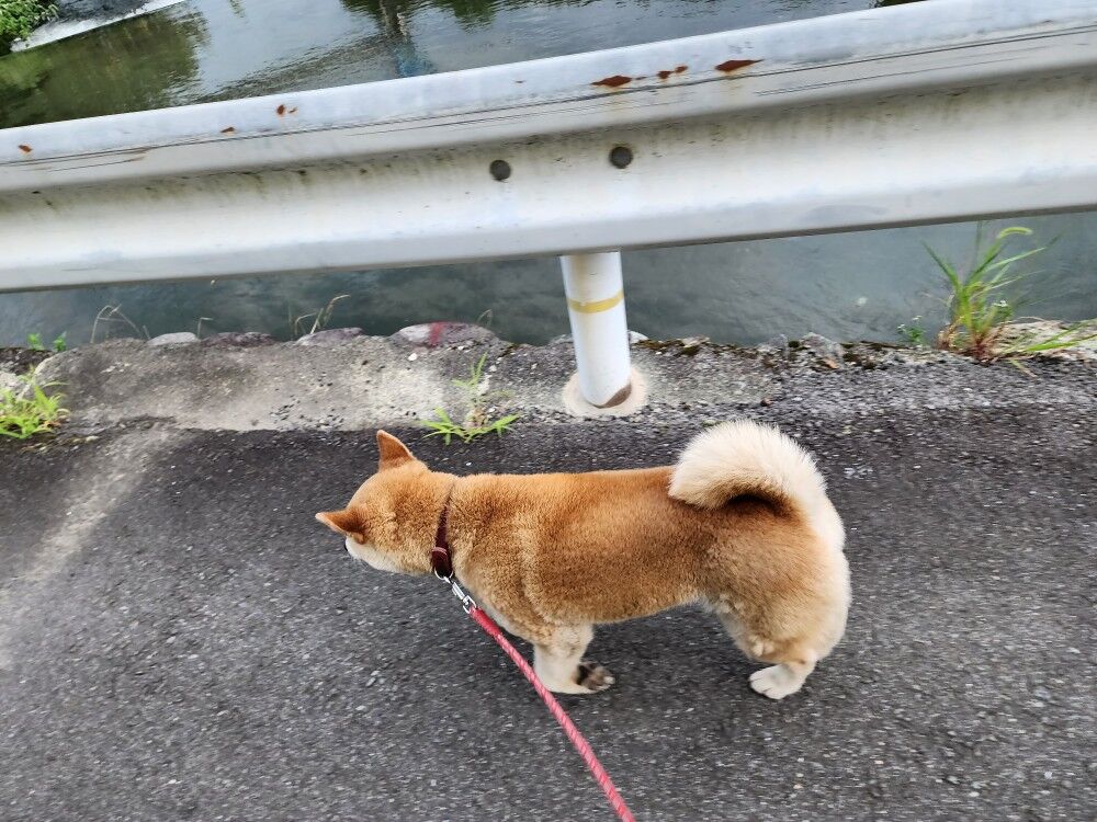 7月15日 福岡県八女市A様クロス＆エアコン交換工事 : 福岡県八女市の 