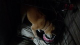 200121_065259