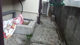 220115_085012
