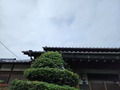 20230609_080304