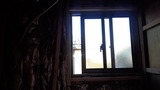 220119_085043