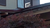 220110_153559