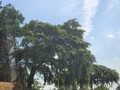 20260612_144500