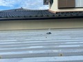 20201124105923_p