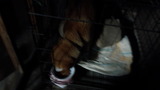 220110_062353