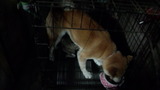 201126_064431