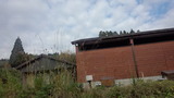 201124_141207