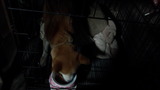 220117_063945
