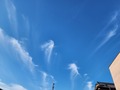 20260610_064916