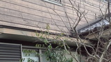200119_143029