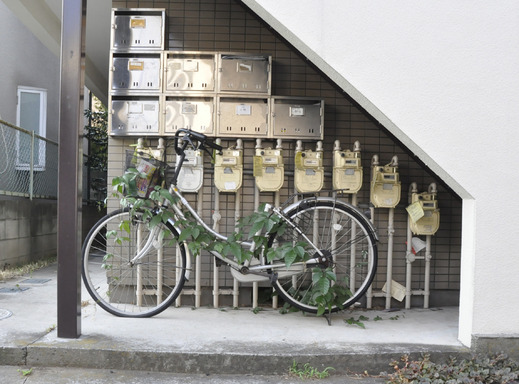 _DSC0005