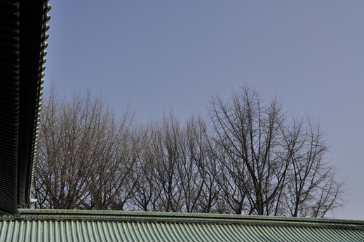 _DSC0021