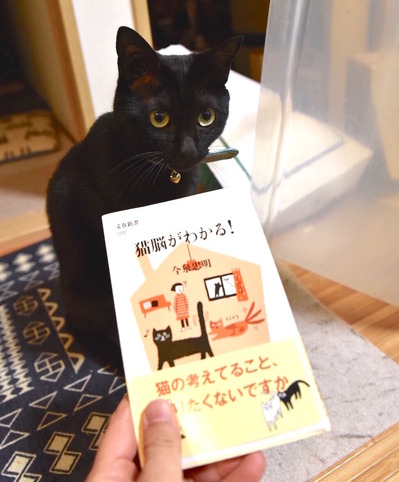 BLOG EDASHIN:猫なみ劇場