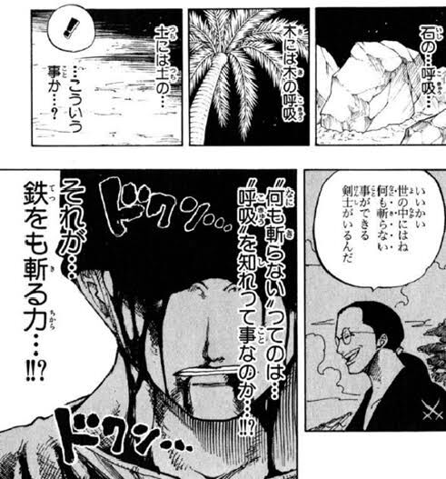ワンピース 覇王色の覇気 ゾロ ワンピース 覇王色の覇気 ゾロ