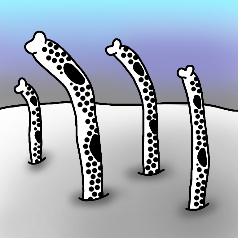 ちんぽあなご ちんぽしーまとめ