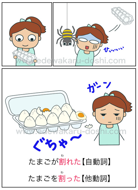 割れる・割る②(不注意・失敗)|自動詞・他動詞 : 絵でわかる自動詞・他動詞