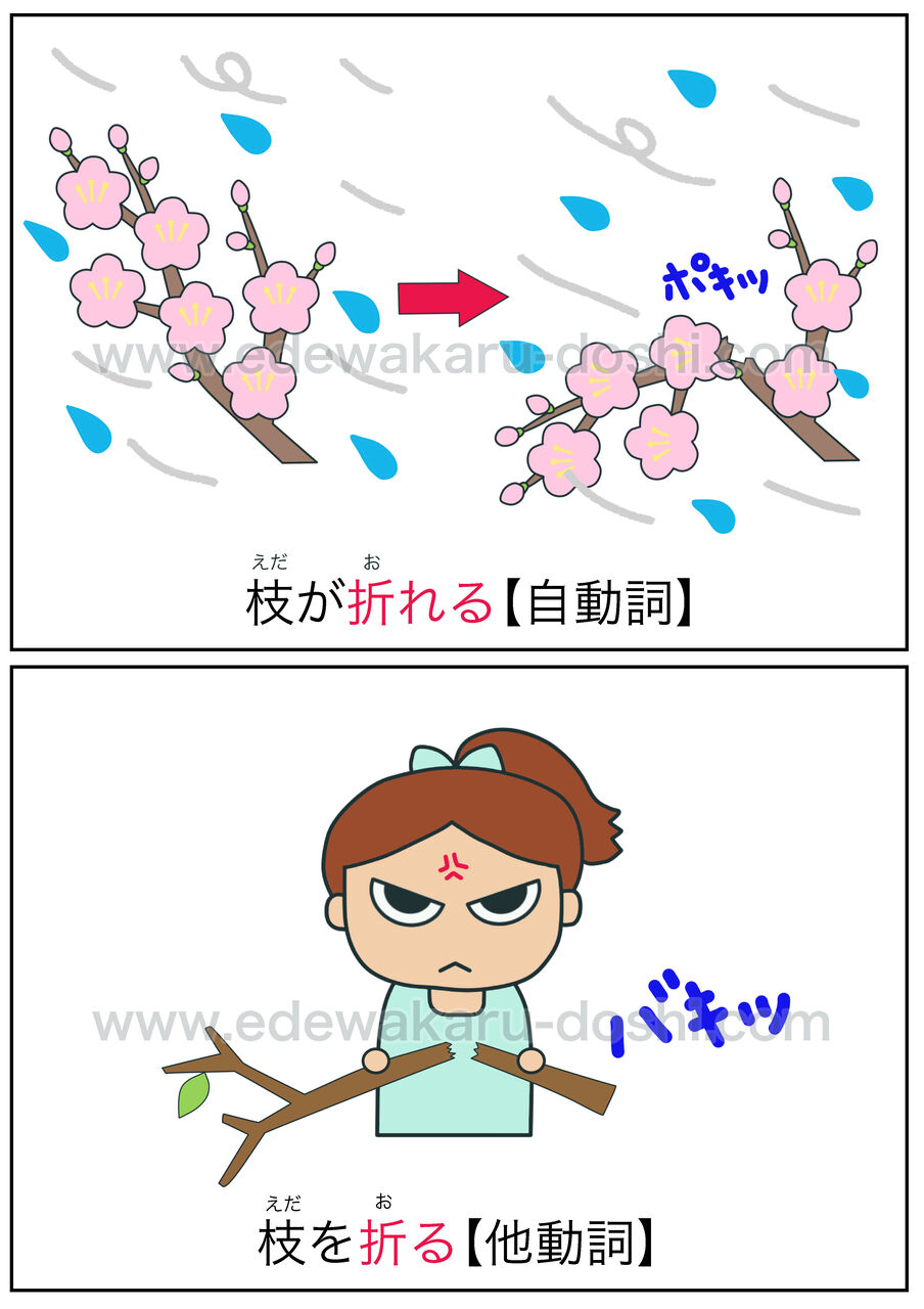 折る