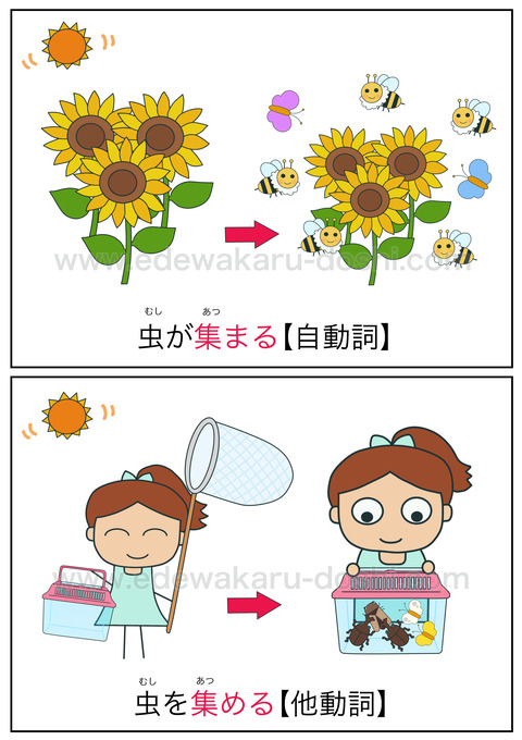 doshi集まる・集める