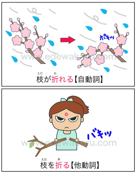 doshi折れる・折る①
