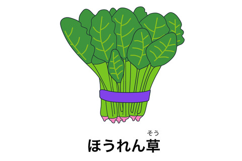 blogほうれん草