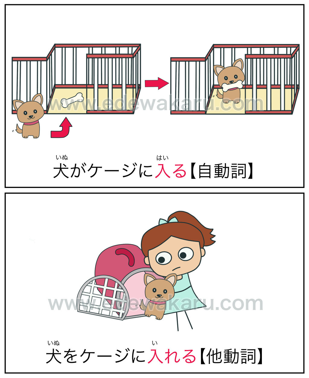 入る 入れる 自動詞 他動詞 絵でわかる日本語